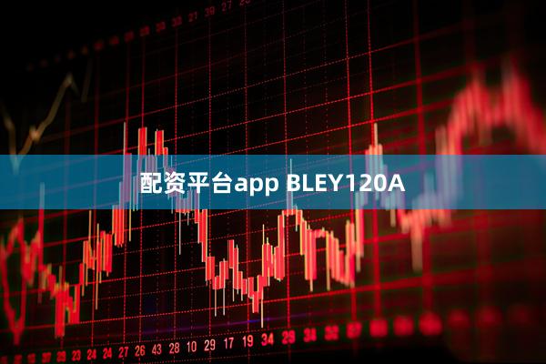 配资平台app BLEY120A