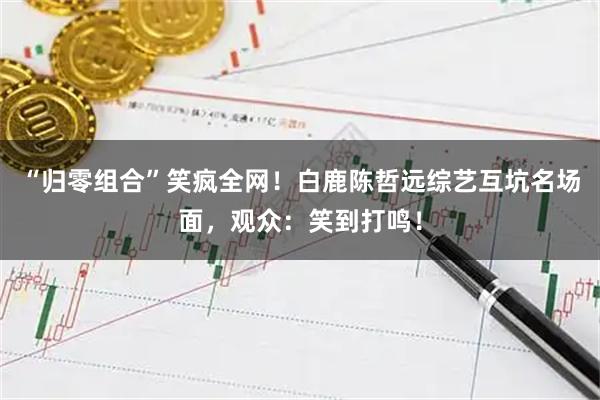 “归零组合”笑疯全网！白鹿陈哲远综艺互坑名场面，观众：笑到打鸣！