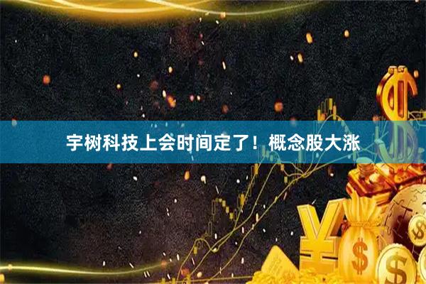 宇树科技上会时间定了！概念股大涨